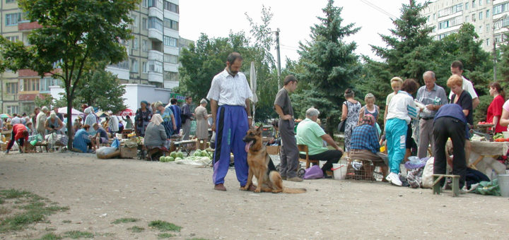 Человек с собакой на улице