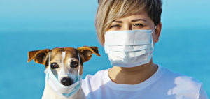 коронавирус у собак
