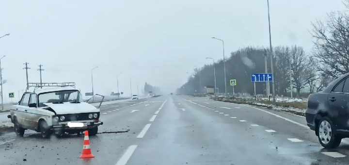 собака в машине на месте ДТП