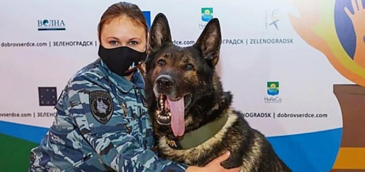 Мария Копцева и служебная собака Волк-Меркурий и