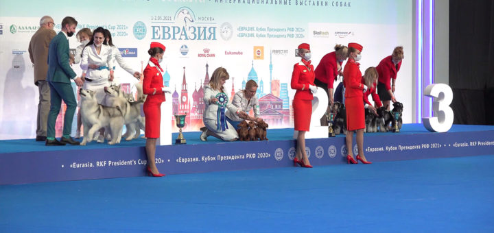 РКФ, выставка "Евразия-2021"