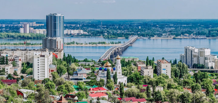 Саратов: собаки будут ограничены