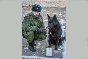 Кинолог Андрей Григорьев и пограничная собака Стингер и